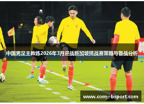 中国男足主教练2026年3月迎战新加坡挑战赛策略与备战分析