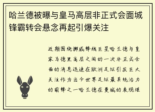 哈兰德被曝与皇马高层非正式会面城锋霸转会悬念再起引爆关注