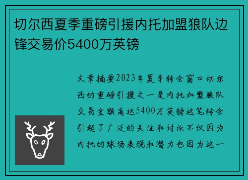 切尔西夏季重磅引援内托加盟狼队边锋交易价5400万英镑